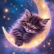 ヒメ日記 2025/06/28 00:15 投稿 こずえ 佐賀人妻デリヘル 「デリ夫人」