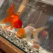 ヒメ日記 2025/06/30 12:01 投稿 こずえ 佐賀人妻デリヘル 「デリ夫人」