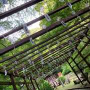 ヒメ日記 2025/07/23 21:45 投稿 こずえ 佐賀人妻デリヘル 「デリ夫人」