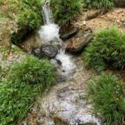 ヒメ日記 2025/07/24 20:45 投稿 こずえ 佐賀人妻デリヘル 「デリ夫人」