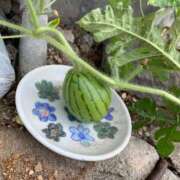 ヒメ日記 2025/08/18 11:29 投稿 こずえ 佐賀人妻デリヘル 「デリ夫人」