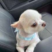 ヒメ日記 2025/08/28 20:45 投稿 こずえ 佐賀人妻デリヘル 「デリ夫人」