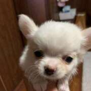 ヒメ日記 2025/08/29 19:46 投稿 こずえ 佐賀人妻デリヘル 「デリ夫人」