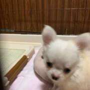 ヒメ日記 2025/09/02 13:00 投稿 こずえ 佐賀人妻デリヘル 「デリ夫人」