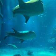 ヒメ日記 2025/10/06 20:45 投稿 こずえ 佐賀人妻デリヘル 「デリ夫人」