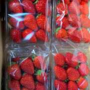 ヒメ日記 2026/03/04 13:03 投稿 こずえ 佐賀人妻デリヘル 「デリ夫人」