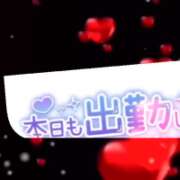 ヒメ日記 2026/03/09 20:59 投稿 こずえ 佐賀人妻デリヘル 「デリ夫人」