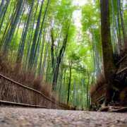 ヒメ日記 2026/04/14 11:10 投稿 こずえ 佐賀人妻デリヘル 「デリ夫人」