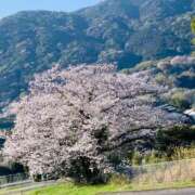 ヒメ日記 2026/04/14 18:50 投稿 こずえ 佐賀人妻デリヘル 「デリ夫人」