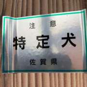 ヒメ日記 2026/04/15 08:06 投稿 こずえ 佐賀人妻デリヘル 「デリ夫人」