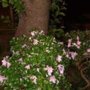 ヒメ日記 2025/05/28 12:01 投稿 なつき☆熟女好きドはまり注意報 新潟長岡ちゃんこ