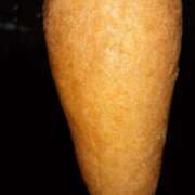 ヒメ日記 2025/10/01 07:45 投稿 なつき☆熟女好きドはまり注意報 新潟長岡ちゃんこ