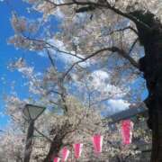 ヒメ日記 2026/04/03 14:52 投稿 久保ちひろ MIRAI TOKYO 新宿店