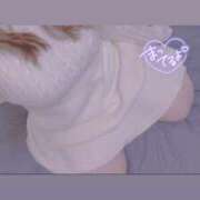 ヒメ日記 2025/07/05 00:54 投稿 のの 美女物語