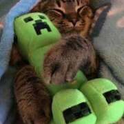 ヒメ日記 2025/06/15 13:03 投稿 えま ドンファン