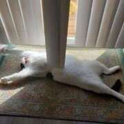 ヒメ日記 2025/08/26 20:48 投稿 えま ドンファン