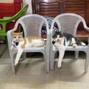 ヒメ日記 2025/08/27 18:44 投稿 えま ドンファン