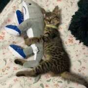 ヒメ日記 2025/09/06 16:14 投稿 えま ドンファン