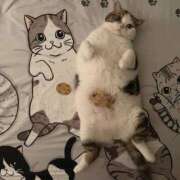 ヒメ日記 2025/09/17 19:10 投稿 えま ドンファン