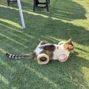 ヒメ日記 2025/09/20 11:23 投稿 えま ドンファン