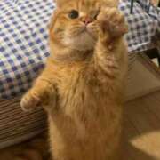 ヒメ日記 2025/09/26 12:53 投稿 えま ドンファン