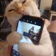 ヒメ日記 2025/10/11 14:12 投稿 えま ドンファン