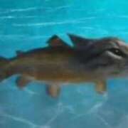 ヒメ日記 2025/06/04 23:53 投稿 えま ヌーベル・マリエ