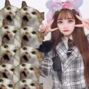 ヒメ日記 2025/06/13 16:04 投稿 えま ヌーベル・マリエ