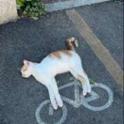 ヒメ日記 2025/08/31 14:35 投稿 えま ヌーベル・マリエ