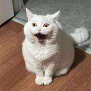 ヒメ日記 2025/09/08 19:10 投稿 えま ヌーベル・マリエ