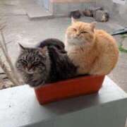 ヒメ日記 2025/09/19 19:39 投稿 えま ヌーベル・マリエ