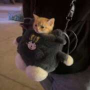 ヒメ日記 2025/10/14 14:37 投稿 えま ヌーベル・マリエ