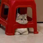 えま 🤦 ヌーベル・マリエ