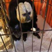 ヒメ日記 2025/07/10 18:15 投稿 円べに ワイフコレクション