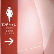 ヒメ日記 2025/08/19 10:22 投稿 円べに ワイフコレクション