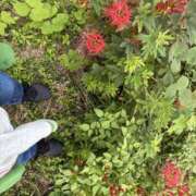 ヒメ日記 2025/09/19 23:18 投稿 円べに ワイフコレクション