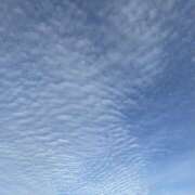 ヒメ日記 2025/09/22 17:23 投稿 円べに ワイフコレクション