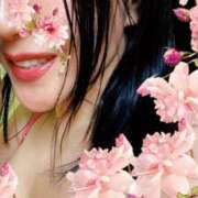 ヒメ日記 2025/11/17 05:43 投稿 円べに ワイフコレクション