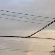 ヒメ日記 2025/12/21 16:21 投稿 円べに ワイフコレクション