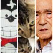 ヒメ日記 2026/01/26 15:00 投稿 円べに ワイフコレクション