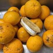 ヒメ日記 2026/03/07 11:30 投稿 円べに ワイフコレクション