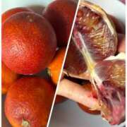 ヒメ日記 2026/03/29 10:34 投稿 円べに ワイフコレクション