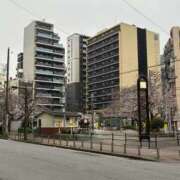 ヒメ日記 2026/04/01 08:03 投稿 円べに ワイフコレクション