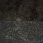 ヒメ日記 2026/04/04 13:20 投稿 円べに ワイフコレクション