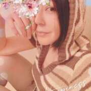 ヒメ日記 2026/04/20 22:06 投稿 円べに ワイフコレクション