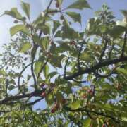 円べに お散歩( ・∇・)日和 ワイフコレクション