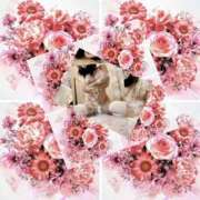 ヒメ日記 2026/04/29 09:31 投稿 円べに ワイフコレクション