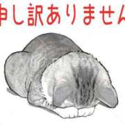 ヒメ日記 2026/07/28 05:19 投稿 円べに ワイフコレクション