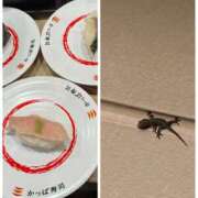ヒメ日記 2026/10/03 18:14 投稿 円べに ワイフコレクション