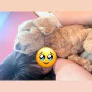 みらい ごめんなさい💦 いざ候 別館